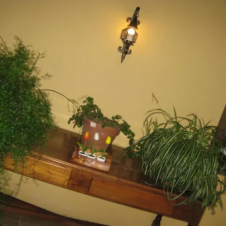 Castillo Valdes 2* Salas (Asturias)